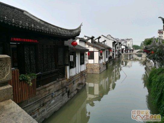 小猫钓鱼正版下载中文版